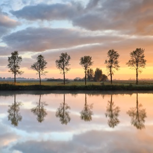 Like trees reflecting in the water, sometimes we need to step back and see a version of ourselves when we're not in the middle of things.