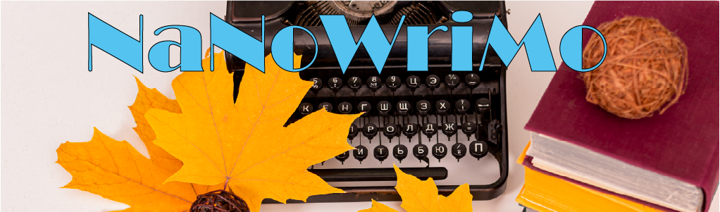 NaNoWriMo