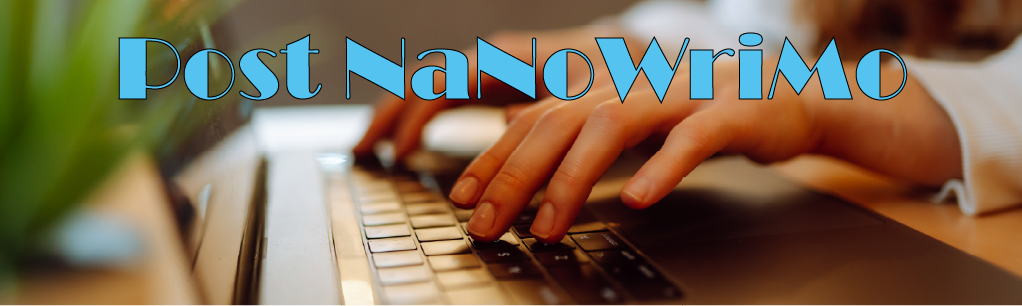 Post NaNoWriMo